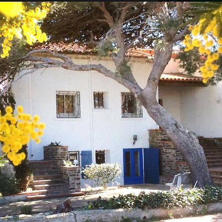 Villa Bleue - Les Pins Port Vendres Zewnętrze zdjęcie